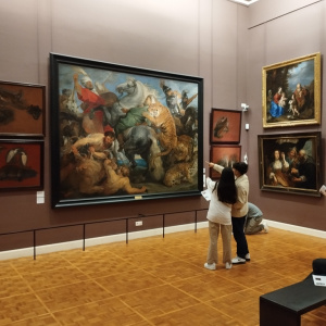 RENNES MUSEE DES BEAUX ARTS RUBENS