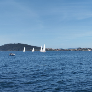 17 VOILE
