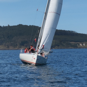 16 VOILE