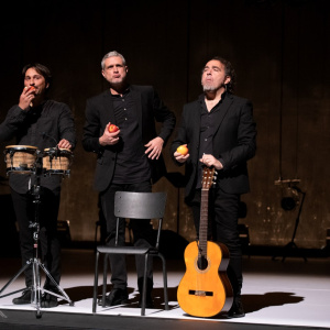 Laurent Paillier - Imperfecto - Print (4)